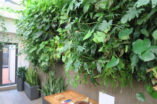 We were seated in their lovely indoor terrace/tea room.